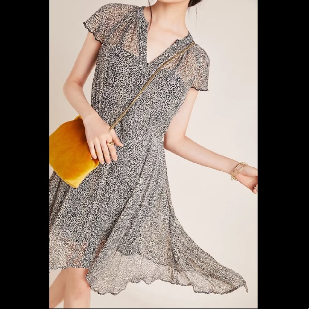 Anthropologie velvet by graham and spencer belen